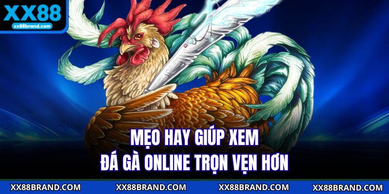 Mẹo hay giúp xem đá gà online trọn vẹn hơn