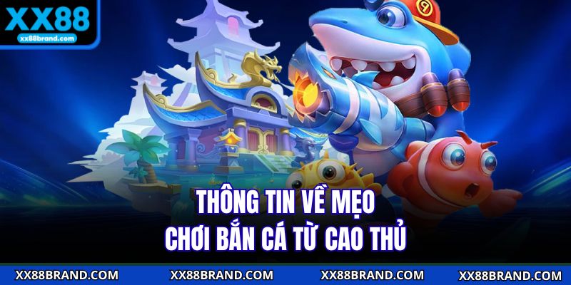 Thông tin về mẹo chơi bắn cá từ cao thủ